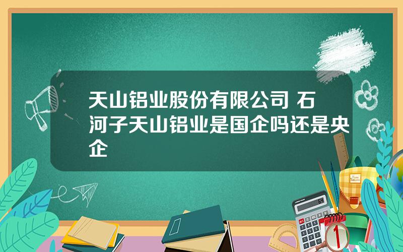 天山铝业股份有限公司 石河子天山铝业是国企吗还是央企